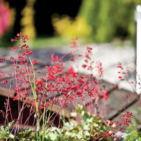 Awesome In With Wifi Gościno