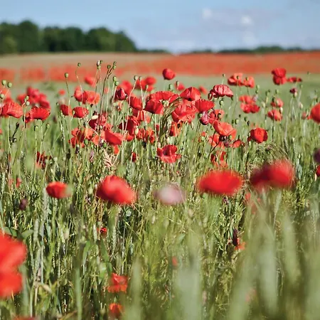 Awesome In With Wifi * Gościno