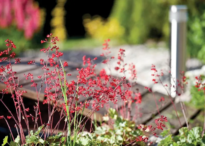 Awesome In With Wifi Goscino