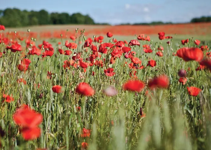 Awesome In With Wifi * Goscino